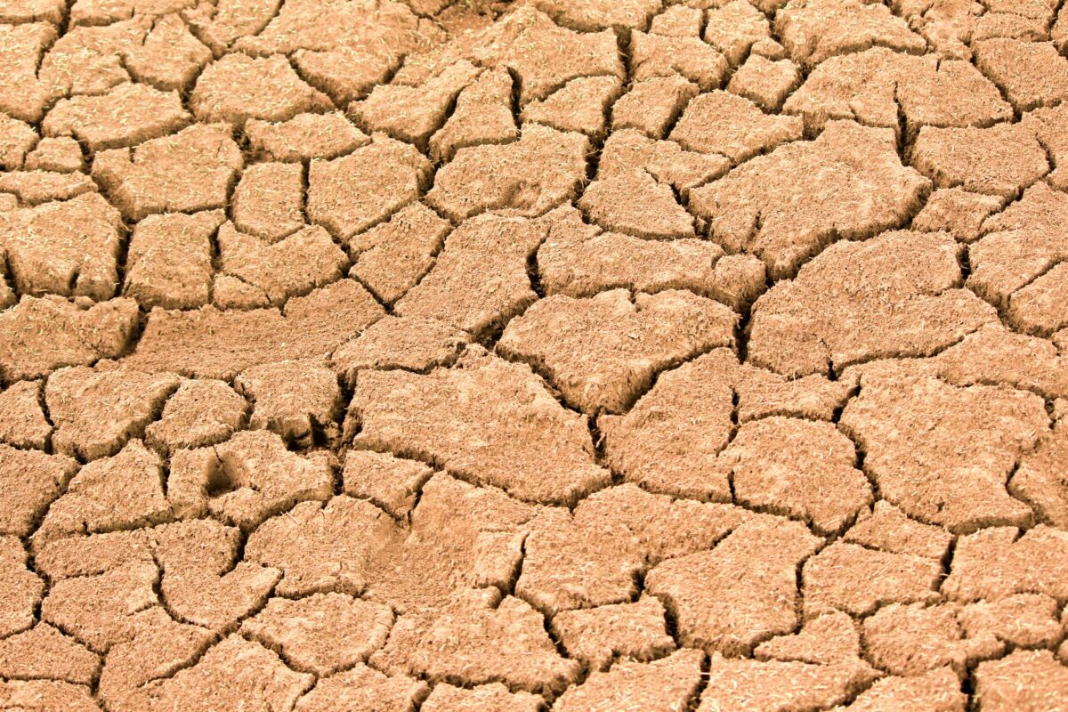 Close-up of cracked dry earth showing effects of extreme drought and climate change.
