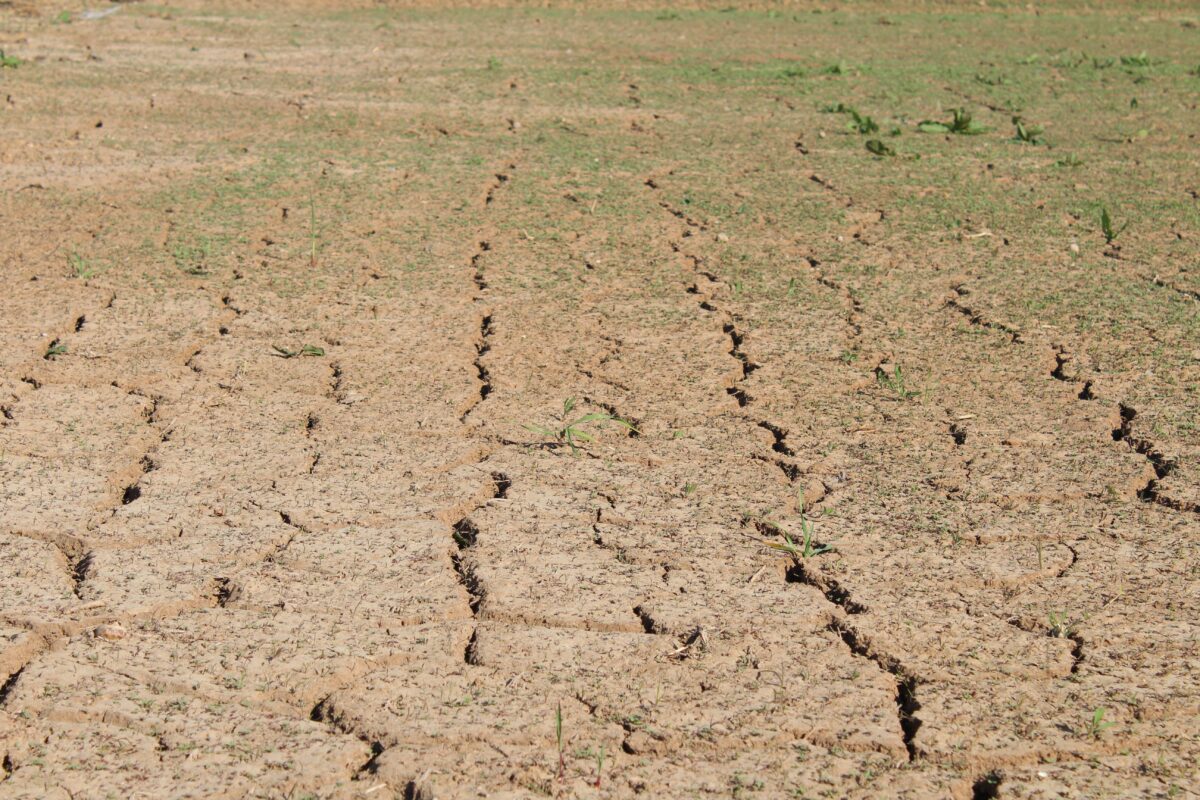 Sécheresse : plus d&rsquo;un milliard d&rsquo;euros pour les agriculteurs, qui touchera quoi et quand ?